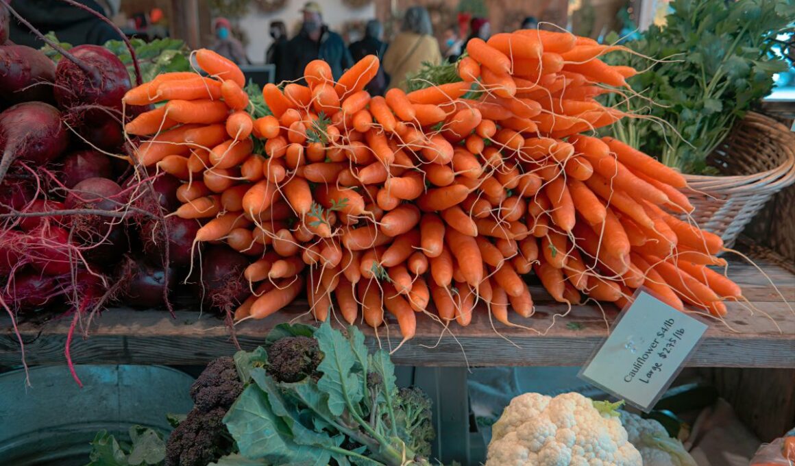 Kiedy warto sięgać po suszoną włoszczyznę zamiast świeżej