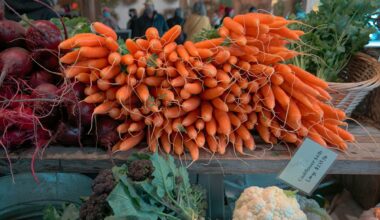 Kiedy warto sięgać po suszoną włoszczyznę zamiast świeżej